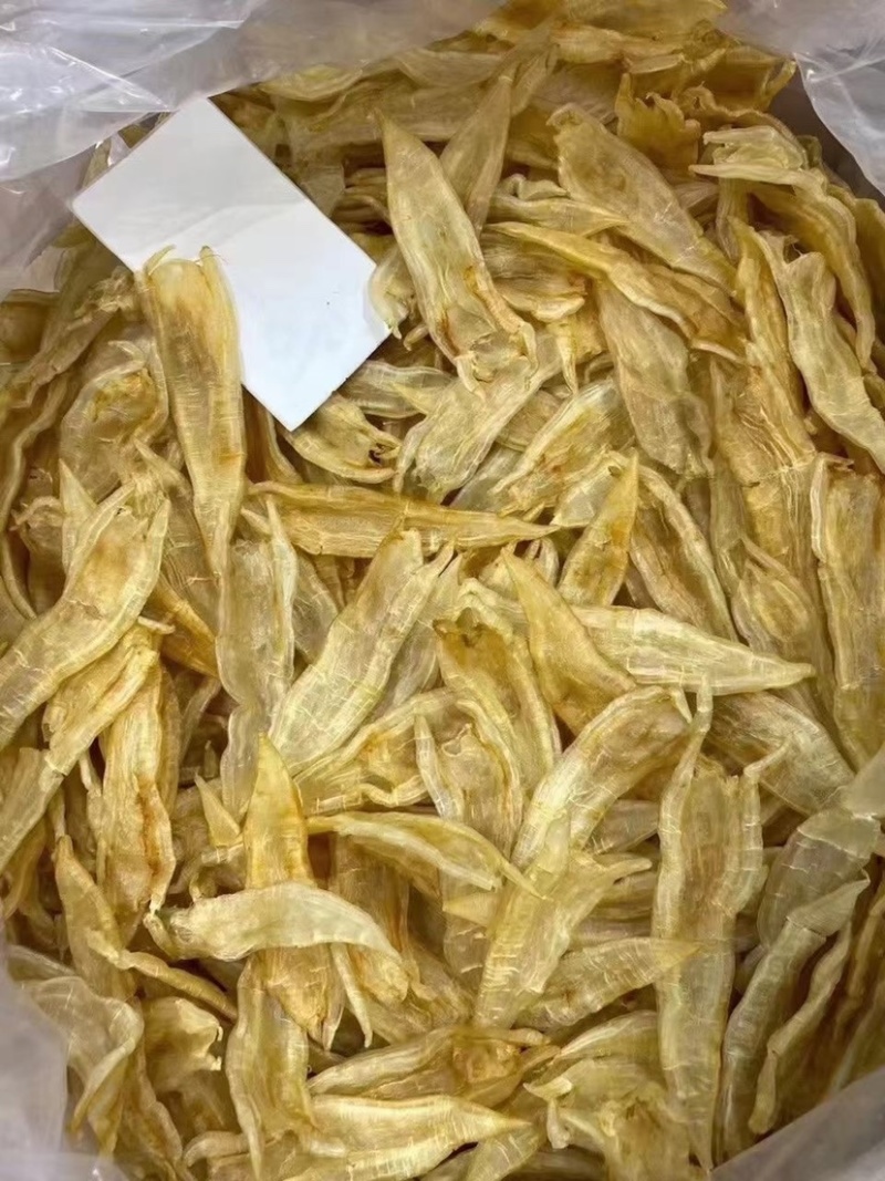 海味干貨批發指南 雙背膠清水貨魚膠、花膠金龍膠與北海赤鳘魚膠的甄選之道