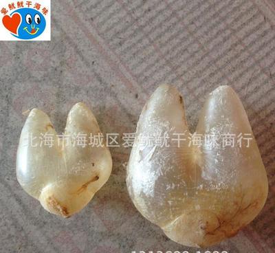 珍品薈萃，健康之源——探索巴巴批發綠色保健系列海味干貨